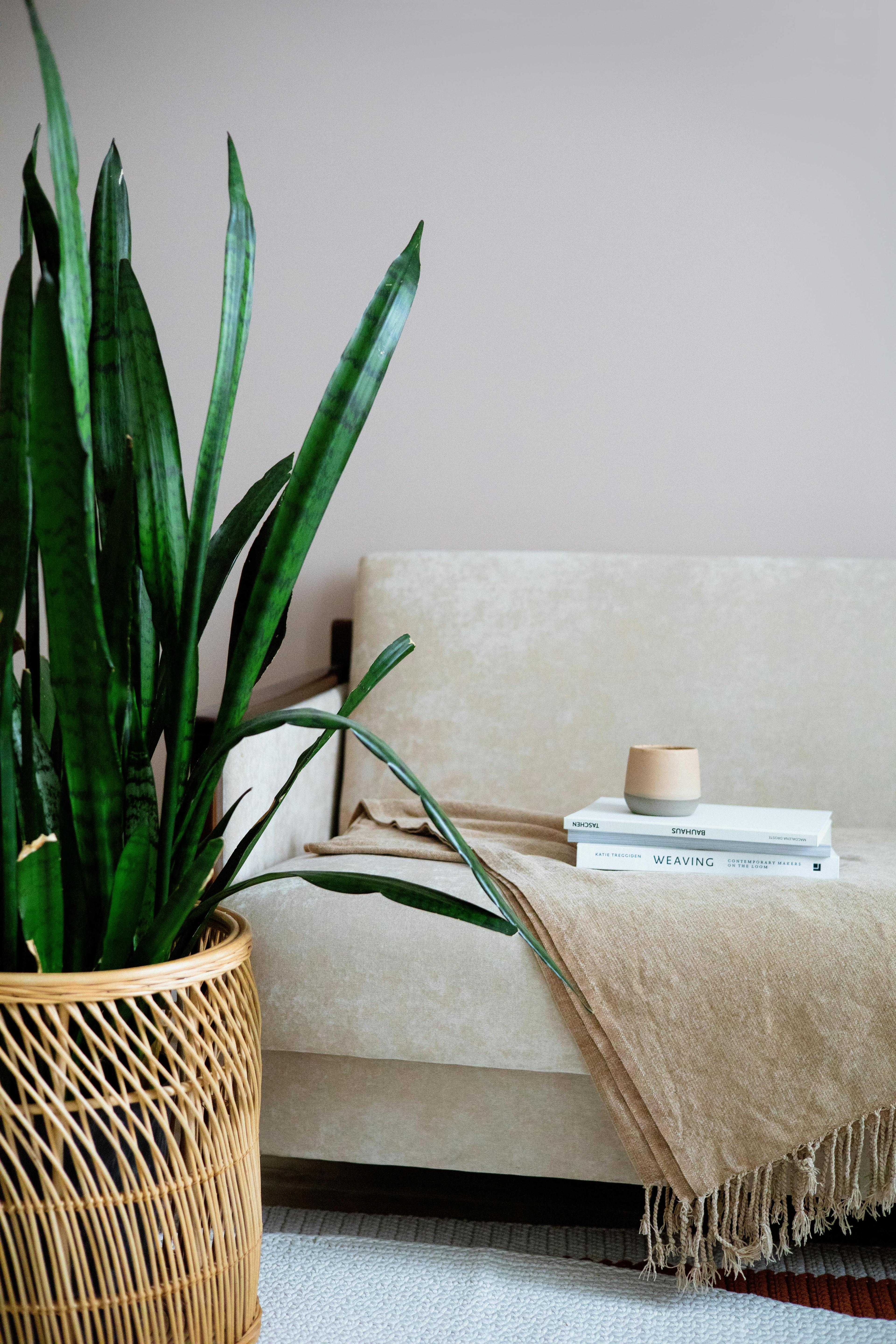 Sustainability & Ethical Sourcing Consulting